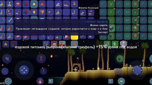 самый большой урон в террарии 1.4.4.9