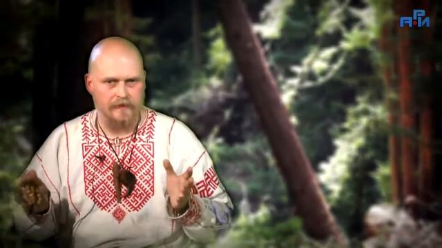 'Древо Жизни'   В гостях волхв Велеслав