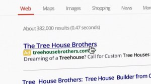 AdWords Stories: Tree House Brothers