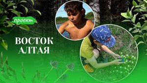 Восток Алтая