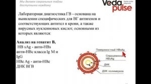 Вирусный гепатит