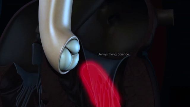 Human Heart Anatomy And Physiology | How Human Heart works? (3D Animation) смотреть онлайн