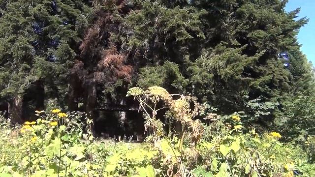 От Ачешбока до Сахрая, через хребет Карыто (Корыто) и ущелье реки Куна. Август 2020 года.