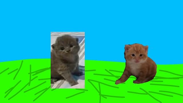 Недели котёнок Shorts (5) смотреть онлайн