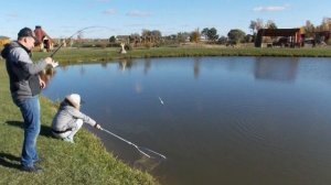 Какие лучшие платники в подмосковье выбрать для рыбалки?