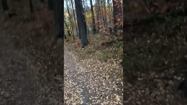 Новая история из реальной жизни. Куда там, бразильским сериалам, до нас! смотреть онлайн