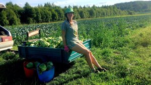 СОБРАЛИ КУЧУ БЕСПЛАТНОЙ КАПУСТЫ ДЛЯ ЖИВОТНЫХ И СЕБЯ НЕ ОБДЕЛИЛИ. ЖИЗНЬ В ДЕРЕВНЕ