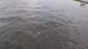 ЛОВЛЯ ЩУКИ НА ВОБЛЕРЫ С АЛИЭКСПРЕСС ОСЕНЬЮ. воблер minnow . ЛОВЛЯ НА ВОБЛЕРЫ С ALIEXPRESS.