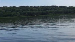 Лучший пляж на оке