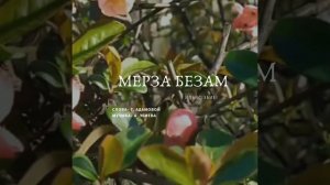 Ильяс Эбиев