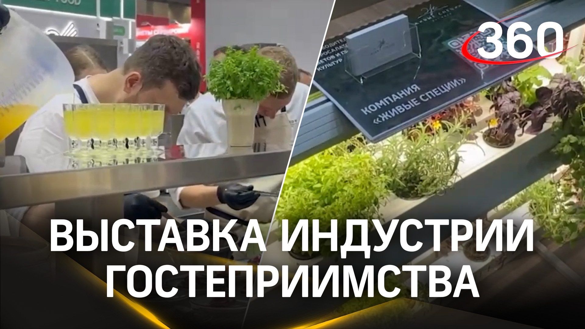 Выставка индустрии гостеприимства в Подмосковье: чем живет гастрономия в России