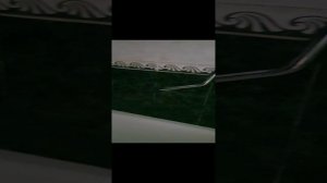 Обзор квартиры