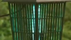 Mosquito Killing System