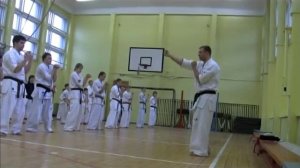 Семинар Макса Дедика - Осознанное каратэ Часть 2