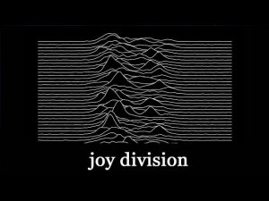 Выпуск #29 Группа Joy Division #советскийвинил