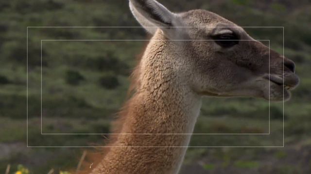 Водная жизнь - [26_26] Создание сериала (1080p) смотреть онлайн