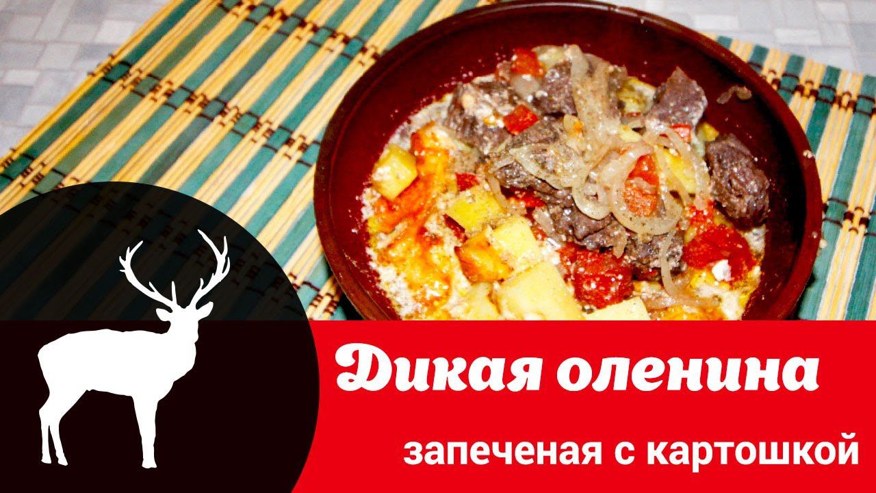 Как приготовить оленину рецепты. Как приготовить оленину рецепты