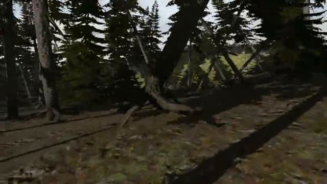 ARMA 2 - Crazy wind