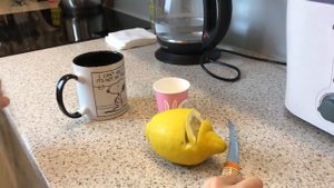 Я ЗАБОЛЕЛА ВЫСОКАЯ ТЕМПЕРАТУРА ЦЕЛЫЙ ДЕНЬ