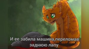 YouCut_20240606_151505891.mp4