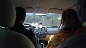 Китай. Ханчжоу. Сучжоу. Чайные плантации