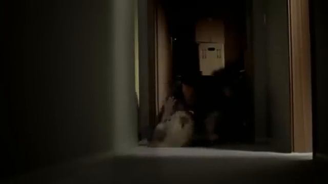 Nacht vor Augen aka A Hero's Welcome смотреть онлайн