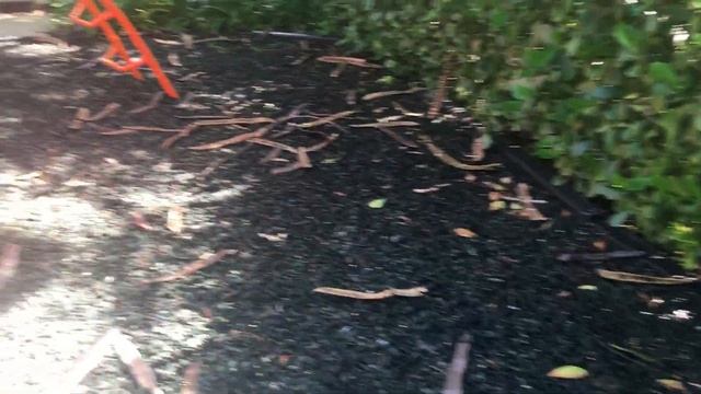 Детская площадка в Голливуд, Флорида смотреть онлайн