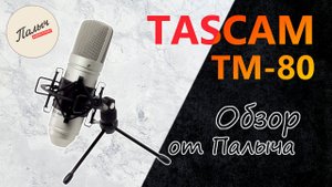 Tascam TM-80 || Недорогой конденсаторный студийный микрофон || Обзор от Палыча