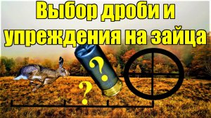 Дробь на зайца и лису в 2024. Упреждение/Вынос при охоте на зайца.