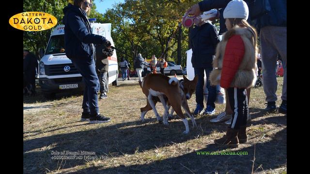 Национальная выставка собак КСУ, Природа, 30092018, Арт пикник, Фельдман Экопарк, 20 слайд шоу смотреть онлайн