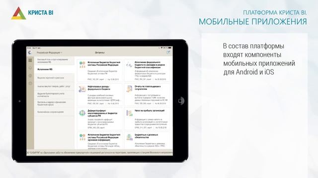 Информационно-аналитическая платформа Криста BI