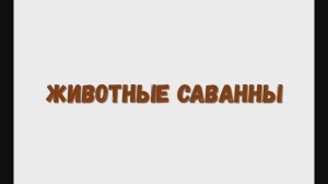 Изучаем животных саванны, животные. (Слон, жираф)