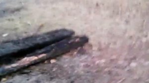 Последний день в поселке Сурок часть 2