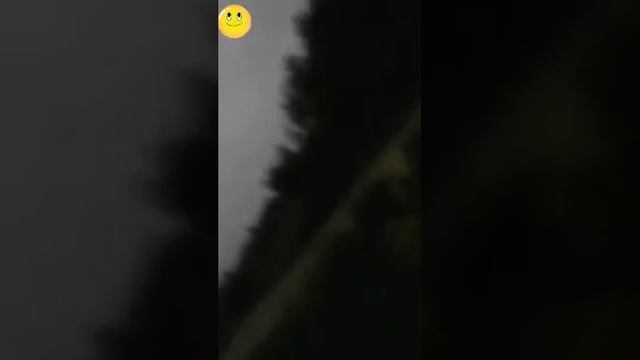 Я показываю мой штаб дача из тровы (1 часть) и сорай. смотреть онлайн