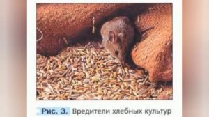 Краткий пересказ §1 Наука о живой природе. Биология 5 класс Пономарева Николаев