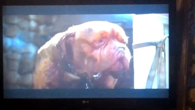 Тернер и хуч смотреть онлайн