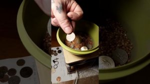 Голтовка монет 1