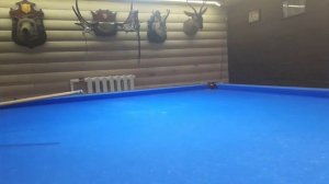 бильярд, сухой лист.