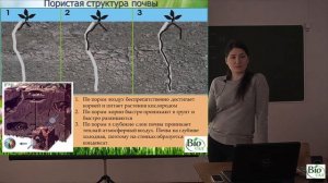 Минимальная обработка почвы