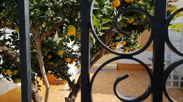 ИСПАНИЯ. ПУТЕШЕСТВИЮ КОНЕЦ. ОТПРАВЛЯЕМСЯ ДОМОЙ. смотреть онлайн