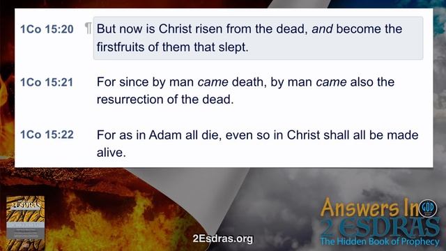 Lazarus Come Forth... Where Do We Go When We Die? Part 2. Answers In 2nd Esdras 23B смотреть онлайн