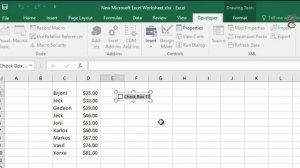 How to Create a Checkbox in Excel:  How to Insert a Checkbox in Excel