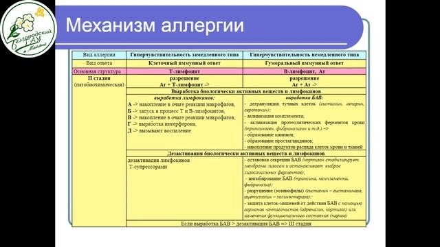 Онлайн лекция по дисциплине 