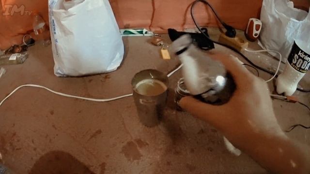 ИНДИЙСКАЯ ЕДА часть 3  ГОА Арамболь. Уличная еда в Гоа