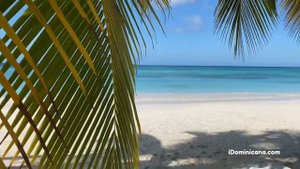 Виллы в Доминикане (аренда): Новый год, зимовка, путешествия - iDominicana.com