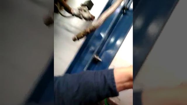 ТЕСТ ПОДЖИГА ГАЗОВОЙ ПЕЧИ смотреть онлайн