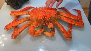 ? Камчатский краб - распаковка, морепродукты, путешествие на камчатку 2019