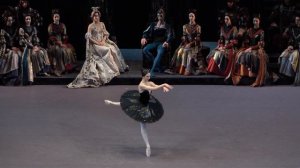 Арина Денисова - вариация Одиллии | Arina Denisova - Odile variation