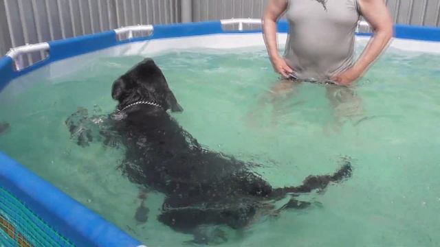 Вода водичка умой мое личико смотреть онлайн