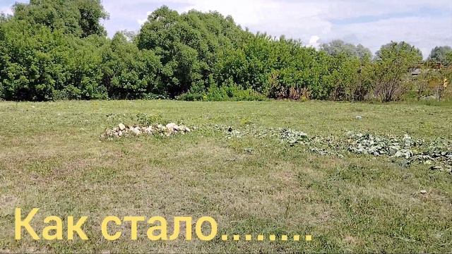 Моя_работа.mp4